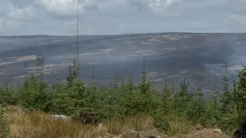 North Yorkshire Langdale moor fire fighters face exploding WWII ordinance North Yorkshire Fire & Rescue Service/PA Wire A bank of green trees with burnt moorland beyond