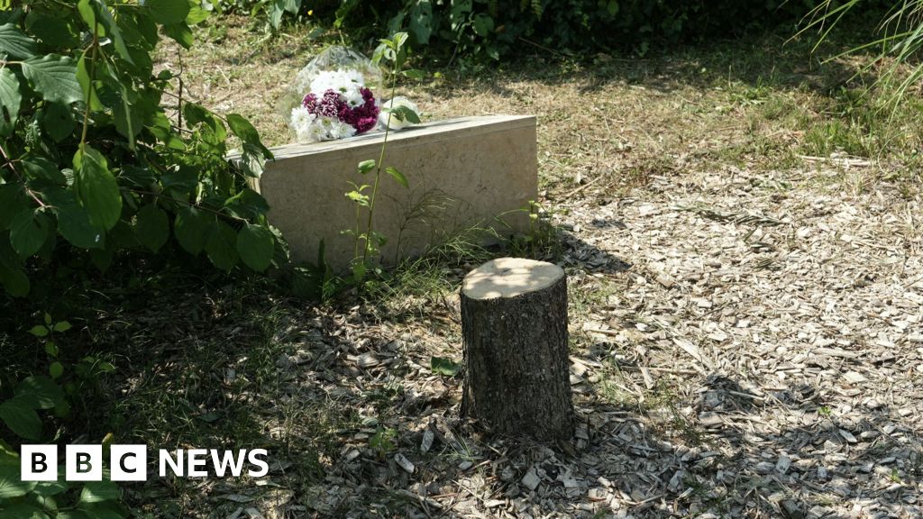 74d376e0 7a85 11f0 ab3e bd52082cd0ae Macron vows justice after tree memorial for murdered Jew cut down