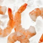 Six severed heads found on road
