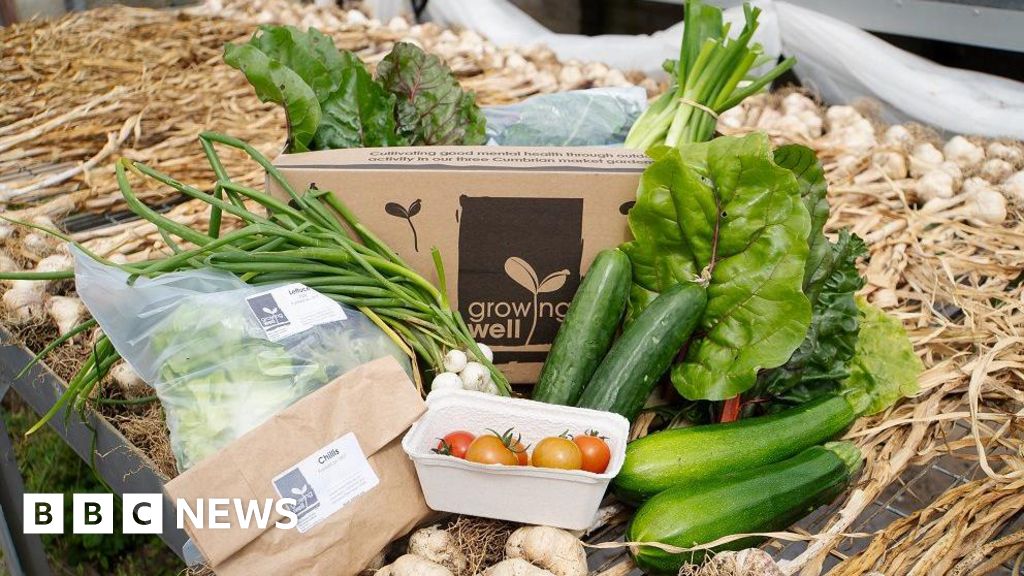 75b77340 6e19 11f0 aa33 1bf5e0b3ec8e Mid Copeland low income families offered vegetable boxes