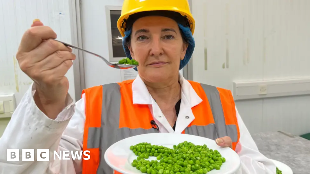 763ee810 7211 11f0 af20 030418be2ca5 Hull taster tests 32 plates of peas a day and eats more for tea