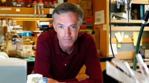 AI designs new superbug-killing antibiotics for gonorrhoea and MRSA MIT Prof Collins is leading on his laboratory bench, wearing a burgundy shirt, with an array of pieces of scientific equipment out of focus in the background.