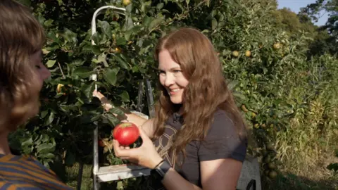 Alongside the heatwave, are we seeing an early autumn in the UK? A woman with long auburn hair and a grey t-shirt holds a red apple standing next to a ladder and apple trees.