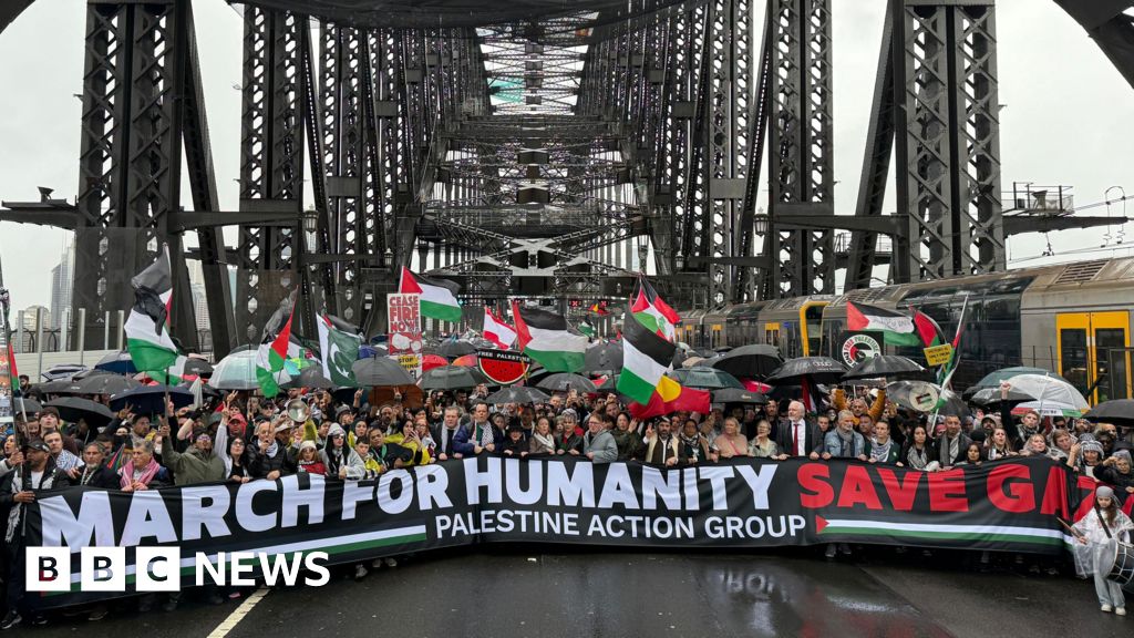 9d381100 702a 11f0 af20 030418be2ca5 Tens of thousands turn out for pro-Palestine march