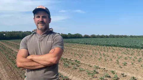 Herefordshire farmer sees broccoli harvest hit by heatwave and lack of water BBC/Malcolm Prior Farmer Ben Andrews, in a grey polo shirt and blue baseball cap, stands with his arms crossed in front of a field of broccoli crops. The sun is shining and the exposed soil in the field is clearly dry, with a sparse covering of broccoli heads coming through.