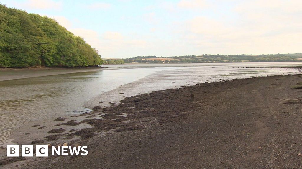 b4a1e0f0 7b60 11f0 9ae5 8b78450e5cf0 Girl, 11, dies at Cornish beauty spot after incident in water