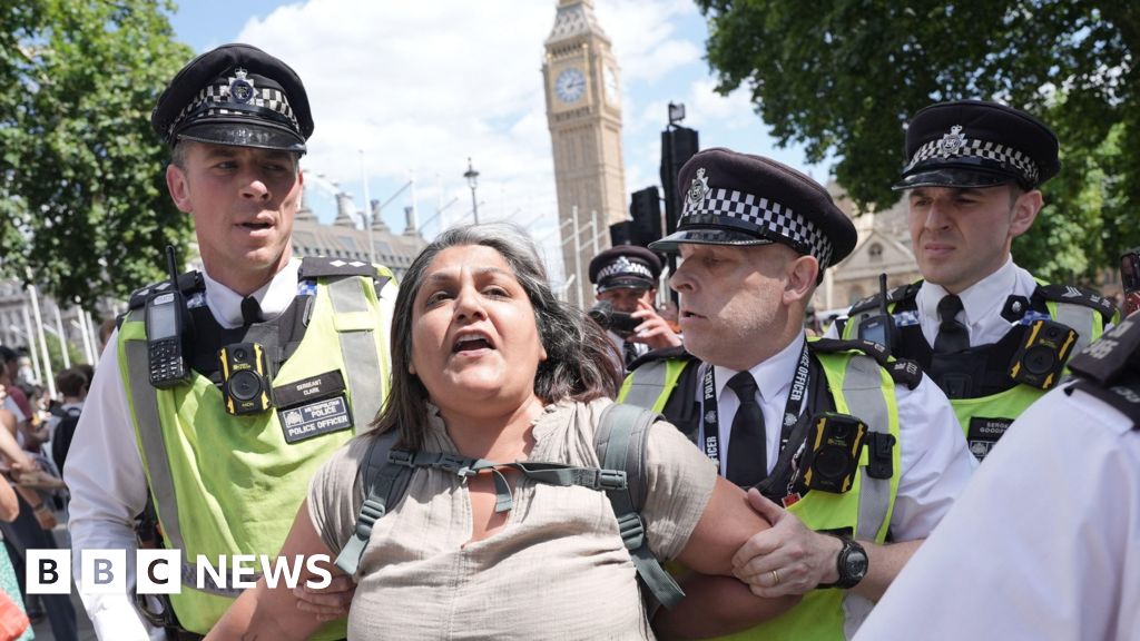 b5bf69c0 751c 11f0 92e9 9f6f0dd72956 Police make arrests at Palestine Action ban protests