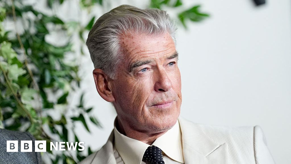 c4ca22e0 7dcb 11f0 83cc c5da98c419b8 Pierce Brosnan felt 'huge responsibility' towards fans of the book