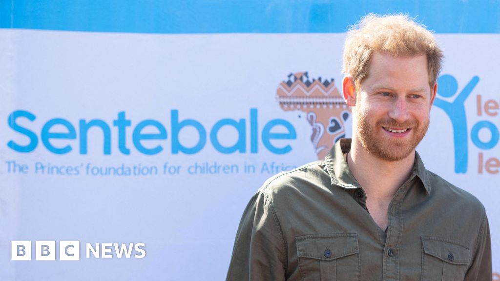 fe0f4930 71fb 11f0 88cf 791e5d4bcee3 No bullying found in Harry charity row, but blame for all sides
