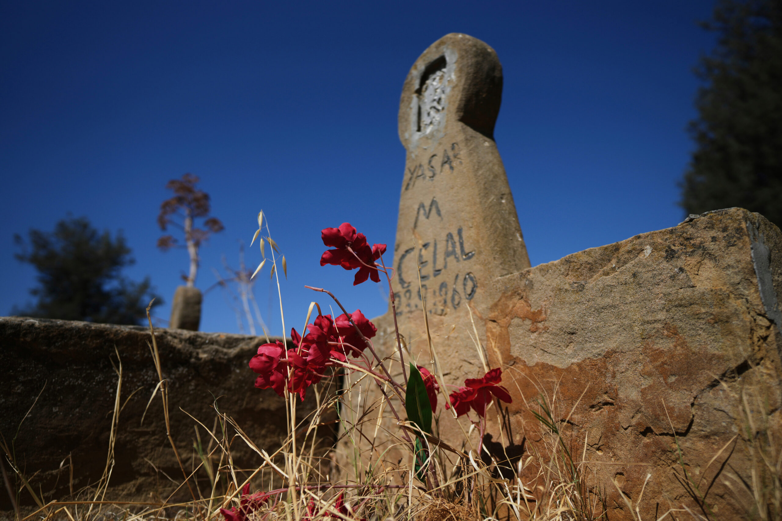 main 14 scaled Grave by grave, a new project in divided Cyprus tries to mend mistrust