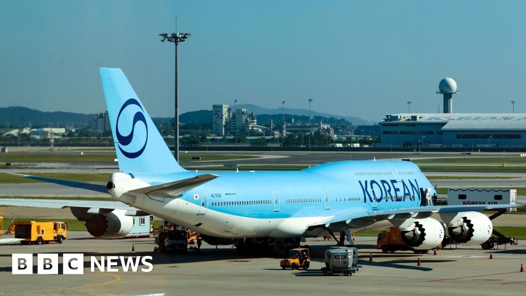 204d57a0 8dfc 11f0 9015 51dc05842b76 South Korea workers detained in US see may return home delayed