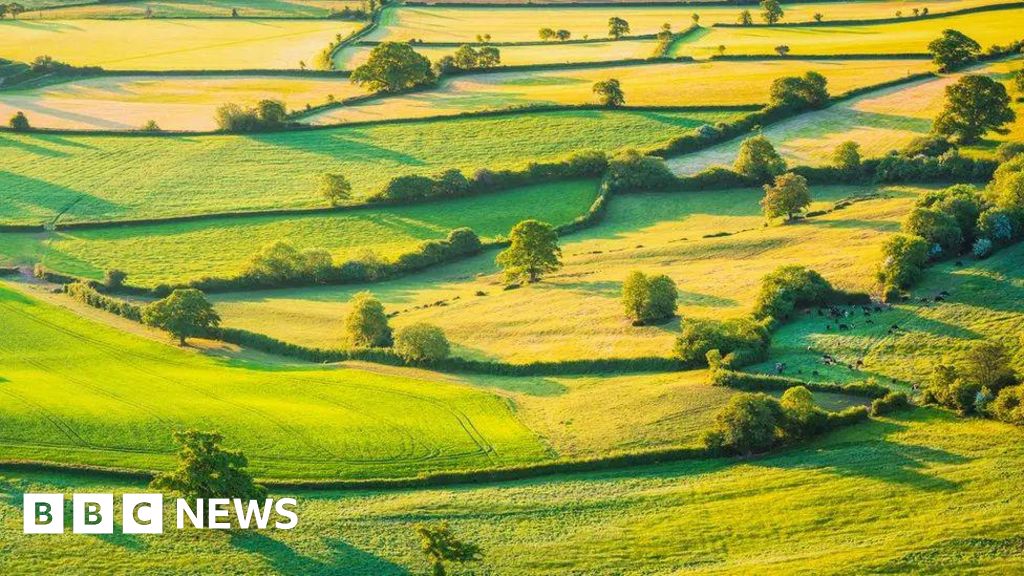 69937b30 ff34 11ef 8bc4 0f1da5ca8de4 Farmers feel abandoned as Defra axes thousands of green contracts