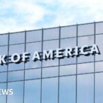 South Korea to probe potential human rights abuses in US Hyundai raid