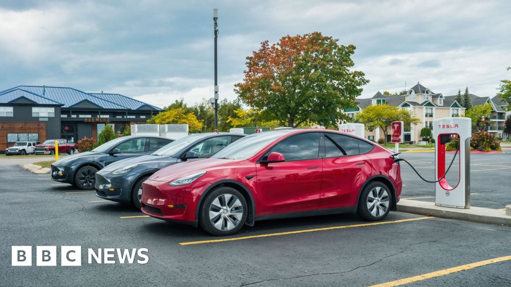 b4b26550 9312 11f0 9cf6 cbf3e73ce2b9 Tesla probed after reports of children trapped in cars