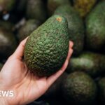 Google brings Material 3 Expressive to Pixel 6 and newer devices, along with other features