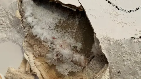 30,000 homes fitted with botched insulation under government schemes, ministers admit A white wall with peeling plaster and underneath white mould and spongy brown damp patches
