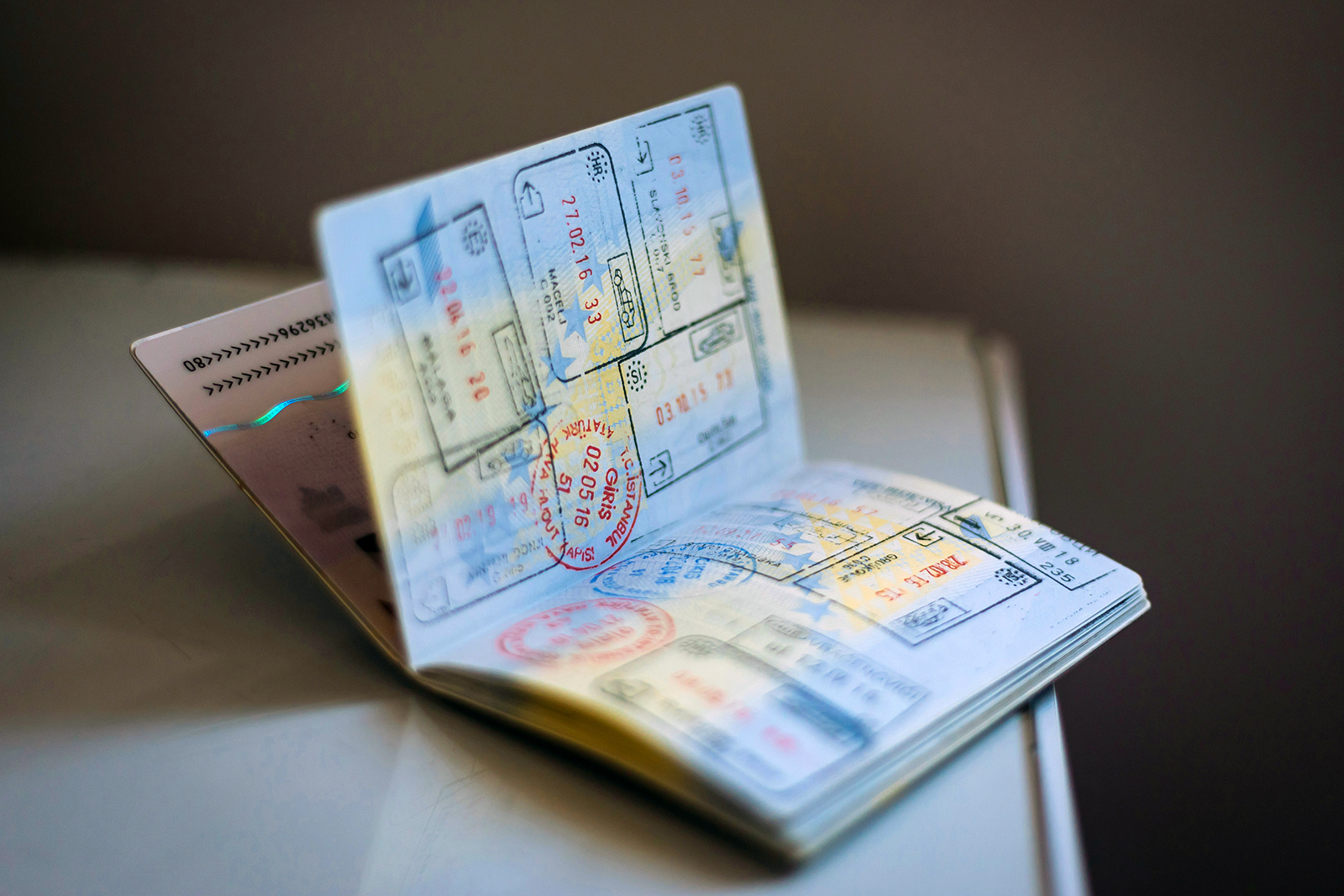 webRNS Passport Immigration2 Hindu advocates, rejecting H-1B 'elite,' seek to defend all Indian immigrants