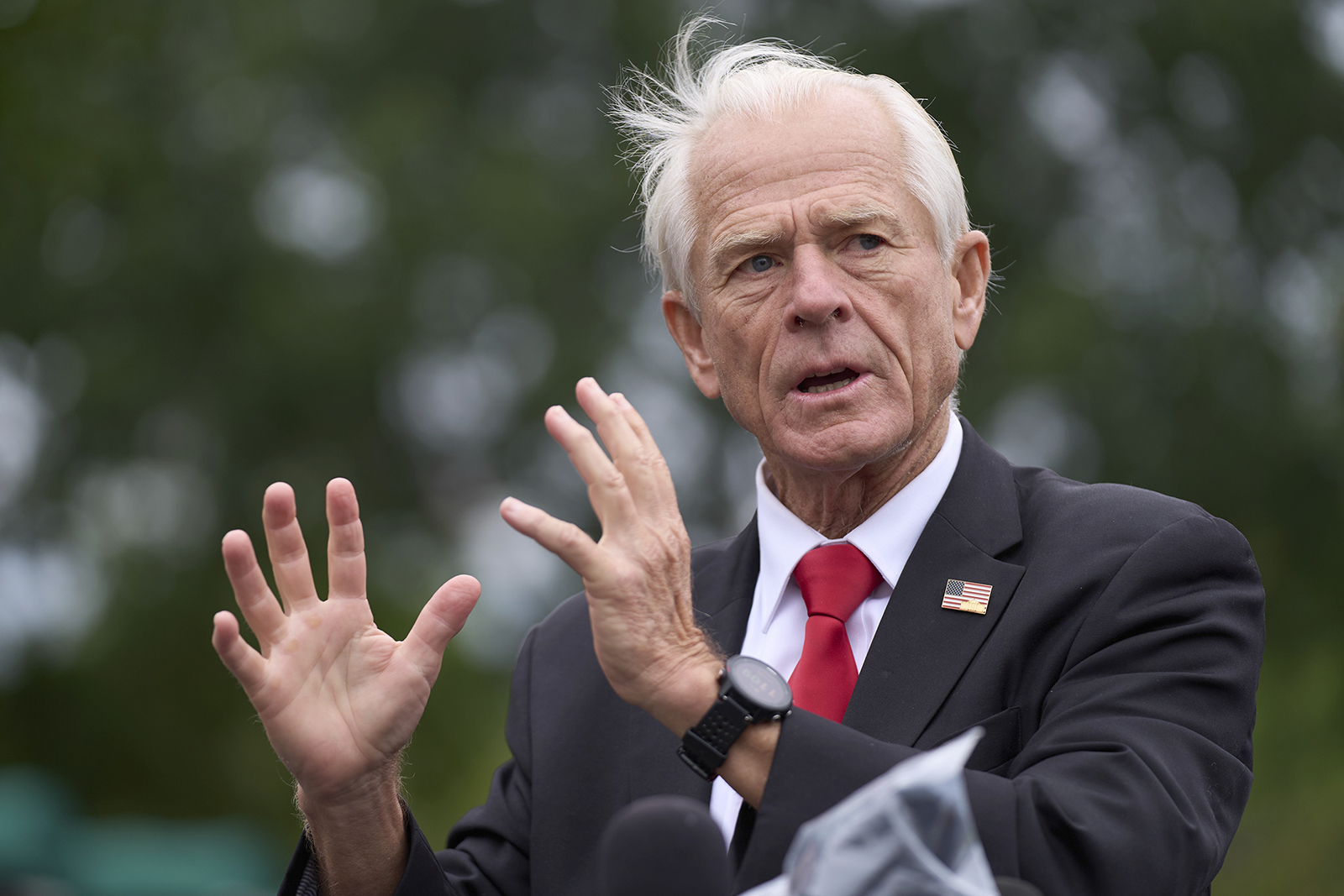 webRNS Peter Navarro1 Why trade official's use of the term 'Brahmins' on Fox News sparked Hindu outrage