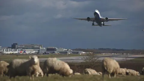 Legal challenge begins against Gatwick Airport expansion Getty Images A plane takes off from a runway. Sheep are grazing on the fields below.