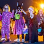 Vets should publish prices, competition watchdog says