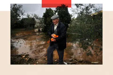 Why supermarket prices really became sky high in the UK AFP via Getty Images A man recovers oranges from a tree, with the ground flooded below