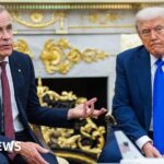 Airport expansion put climate goals at risk, MPs say