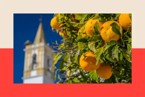 Why supermarket prices really became sky high in the UK VW Pics/Universal Images Group via Getty Images Close up of oranges hanging on a tree with the backdrop of a historic church in the rural town of Carrion de los Cespedes, Seville, Spain