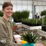 Kent chocolatier selling smaller bars amid cocoa price surge