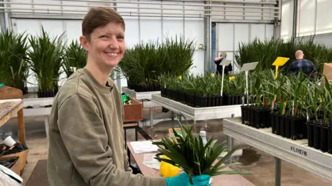 Somerset date growers hope to turn desert green as new lab opens BBC Woman with brown hair smiling while holding plants inside a building filled with plants. She is wearing a green top and blue gloves.