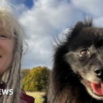 Amazon prepares for major layoffs among office workers