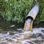 Our biggest competition is screens at home, says theme park boss