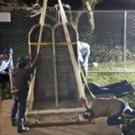 Should K-beauty products have to come from South Korea?