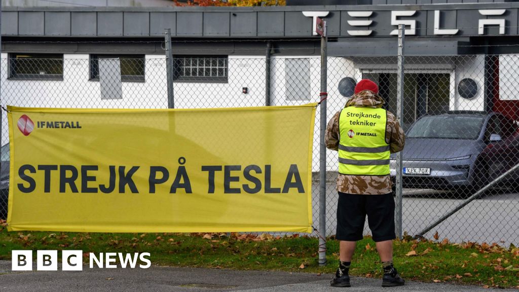 a10c43c0 af52 11f0 8c56 6315cfcbbba0 The striking Swedish workers taking on carmaker Tesla