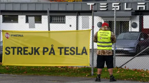 The striking Swedish workers taking on carmaker Tesla BBC Tesla mechanic Janis Kuzma standing on the picket line outside a Tesla garage in Malmö. His sign says "Strike at Tesla"