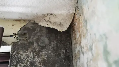 Government urged to review botched insulation schemes across Britain Close-up of a damaged interior wall with severe mould and damp patches. The wallpaper is peeling away at the top corner, revealing dark, discolored areas underneath. The wall shows extensive staining and deterioration, with a metal curtain bracket partially visible on the left.