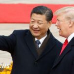 Witness History – How BRICS got its name