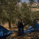 Sheffield Wednesday: Championship club enters administration