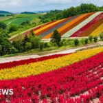 UK ‘world’s most expensive place’ to develop nuclear power