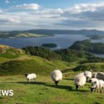 American Arab group sues over California’s new antisemitism law