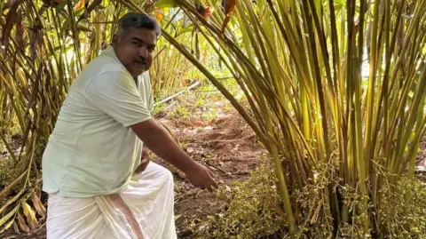 Stanley Pothan Stanley Pothan points at a cardamom plant at his farm in Kerala