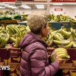 US Catholic bishops select conservative culture warrior to lead them during Trump’s second term