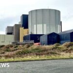 What does ‘pro-life’ mean? There’s no one answer – even for advocacy groups that oppose abortion