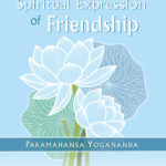 Learner driver fails 128 times at cost of £3,000