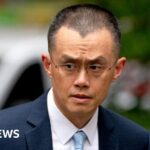 Rail security to be reviewed after train stabbings, says minister