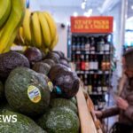 Pope Leo embraces the radical challenge of Catholic social teaching