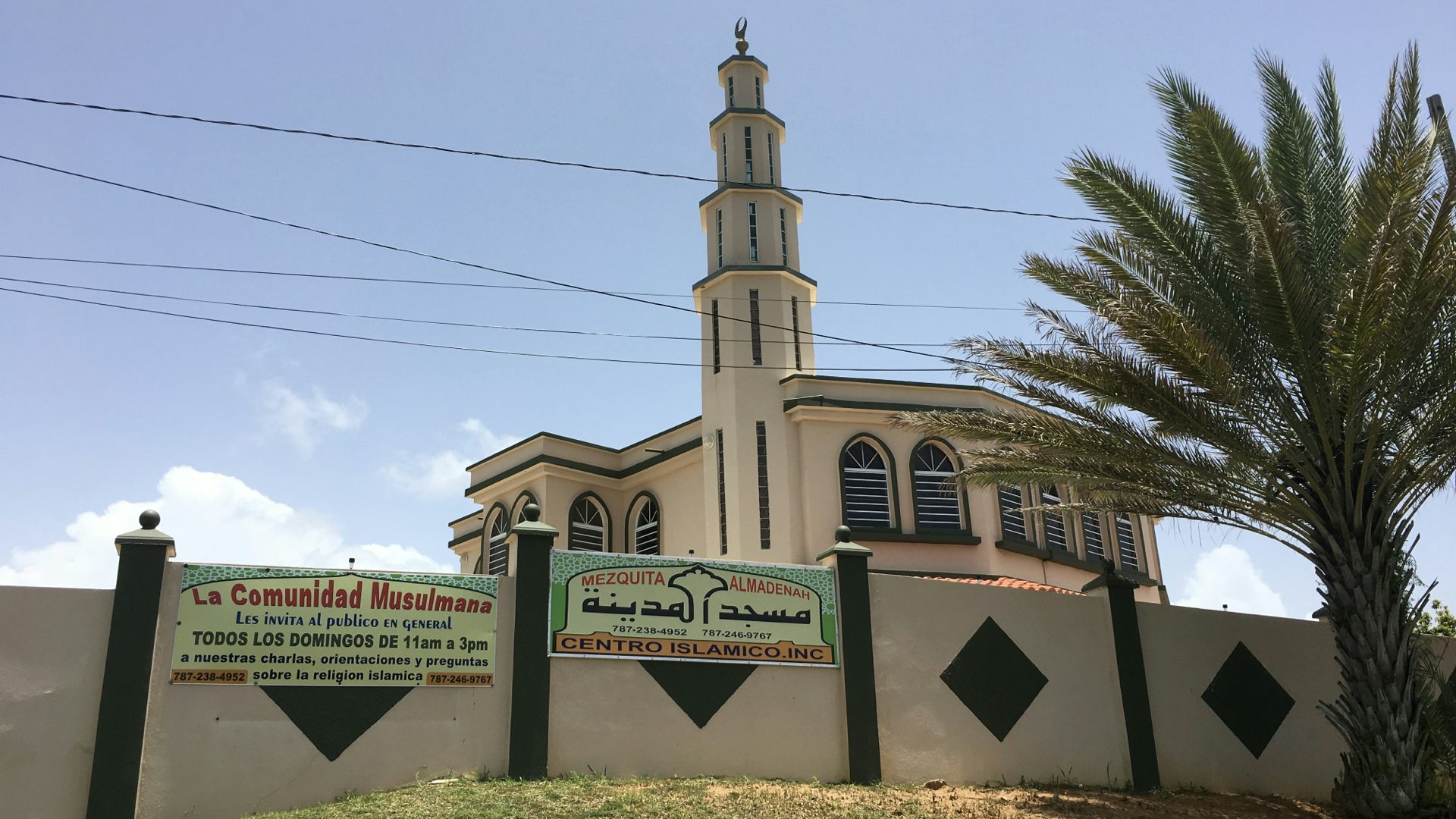 file 20251103 66 3tilir How both remix what it means to be Boricua