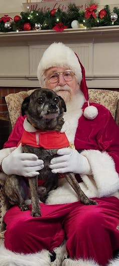 Man dressed as Santa holds a dog on his lap.