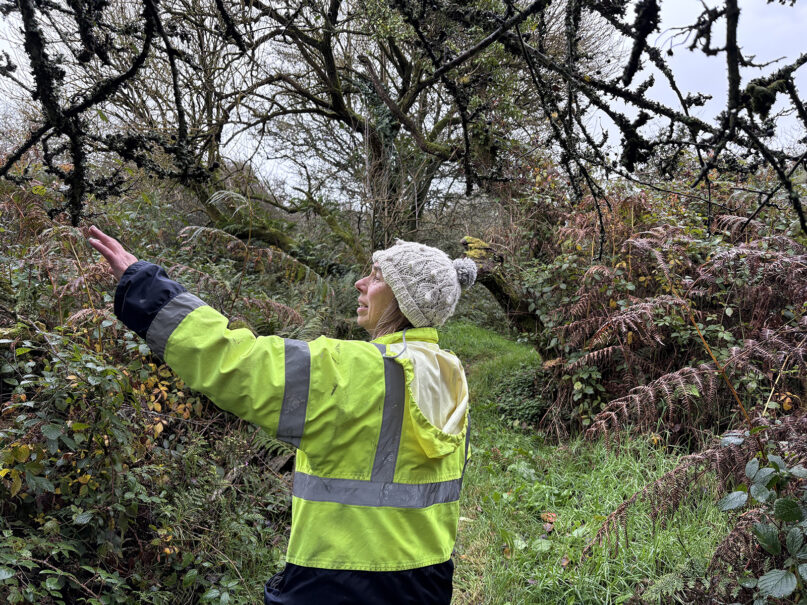 webRNS Stone Circles3 How the UK's ancient stones are drawing renewed awareness of the sacred