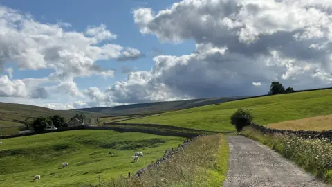 Ellie Langley A track runs bends to the left as it runs between two dry stone walls with green fields dotted with sheep on either side and hills in the distance. Just visible is a house with trees behind it. 