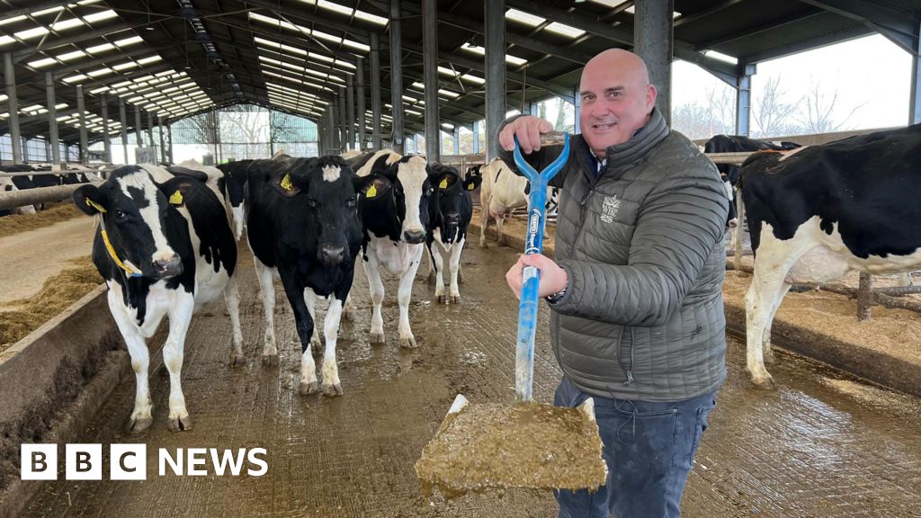 40344cc0 da7a 11f0 b60a 5db3d22facb6 How many UK homes could be heated from cow manure?